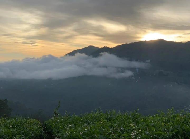 The Nirvana Resort Munnar Exterior foto